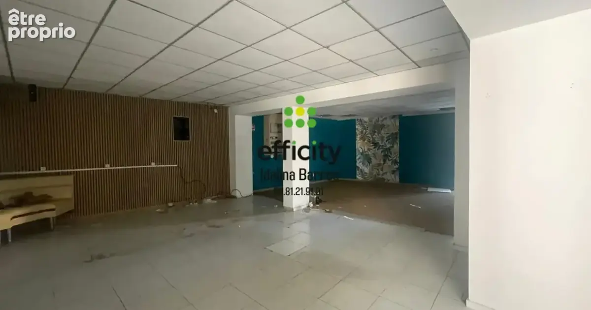 Maison 8 pièces 350 m² à vendre à Aigre (16140) - photo 4