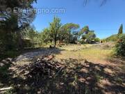 Photo 1 - Terrain à PUGET-SUR-ARGENS