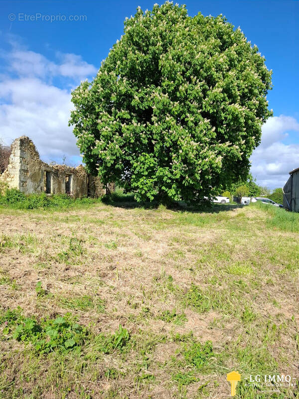 Terrain à SAINT-GEORGES-DES-AGOUTS