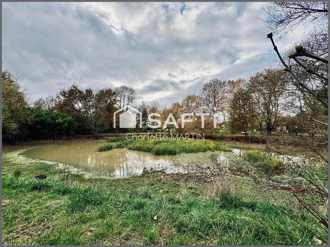 Photo 2 - Maison à VIERZON