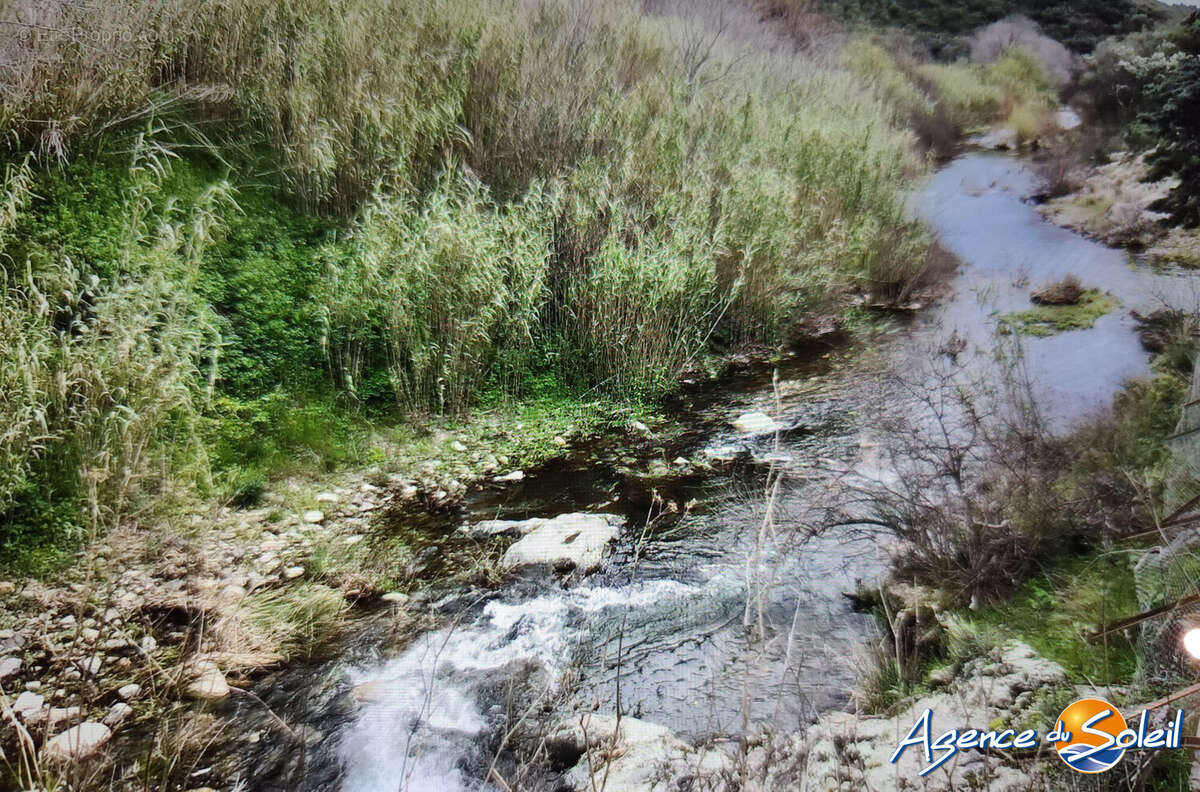 Terrain à BANYULS-SUR-MER