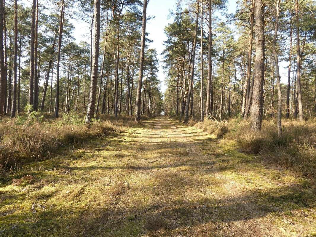 Maison à VIENNE-EN-VAL