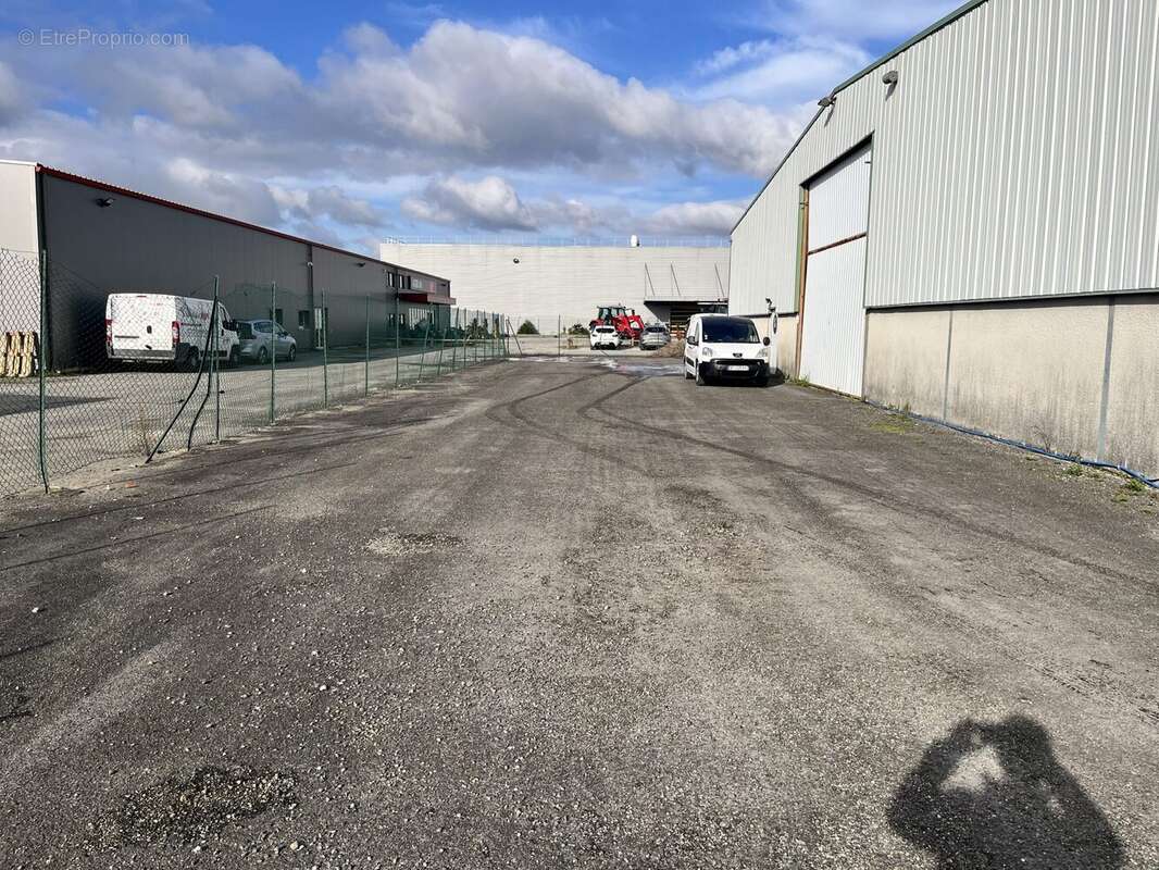 Commerce à HAGETMAU