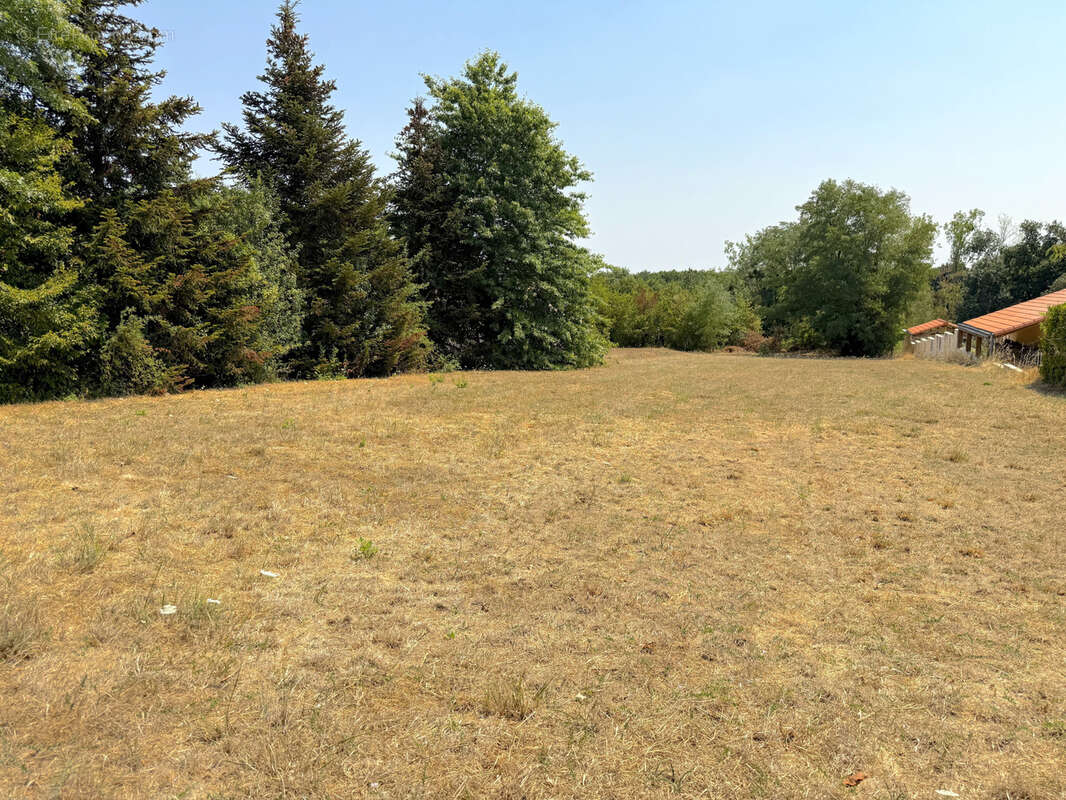 A vendre terrain constructible le pallet 44330 - photo 2