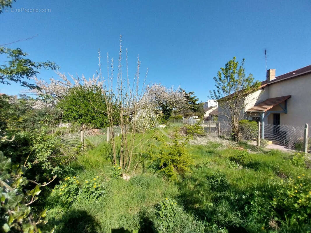 Terrain Les Mureaux 1263 m² - photo 6
