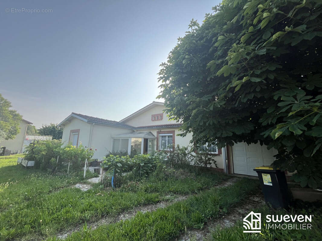 Maison à VILLENEUVE-TOLOSANE