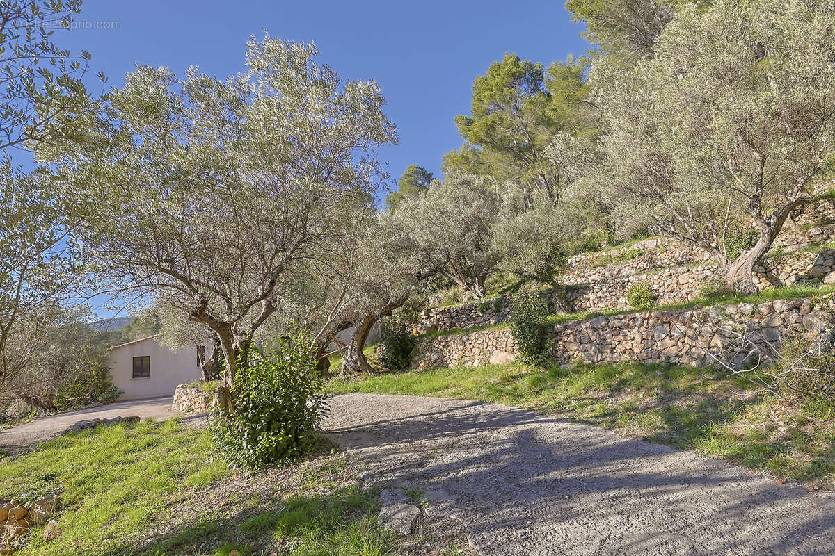 Maison à SOLLIES-PONT