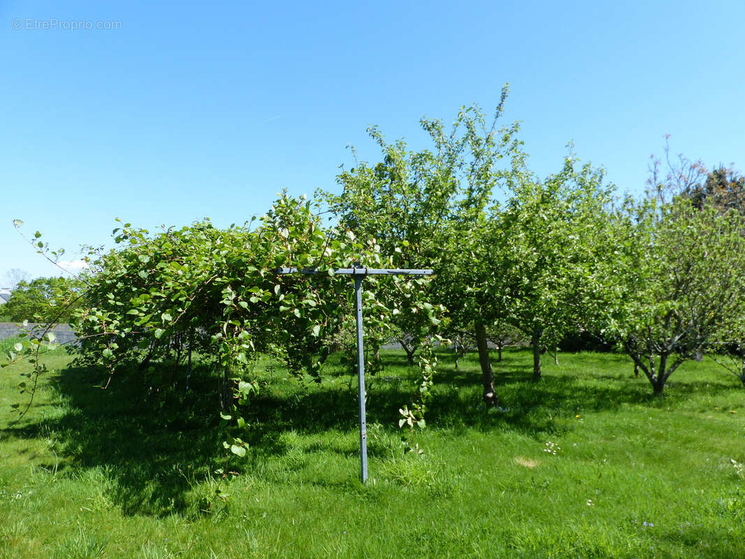 Terrain à FOUESNANT