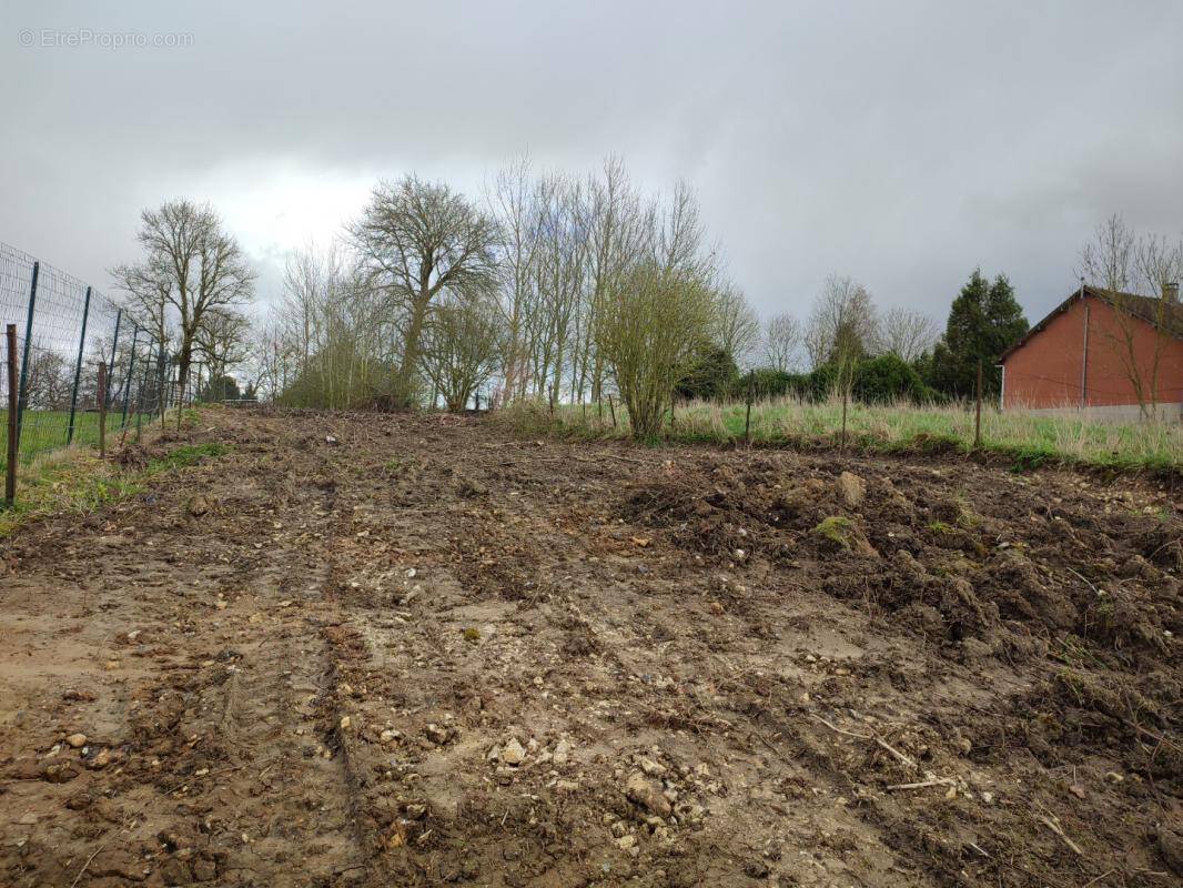 Terrain à PUISIEUX