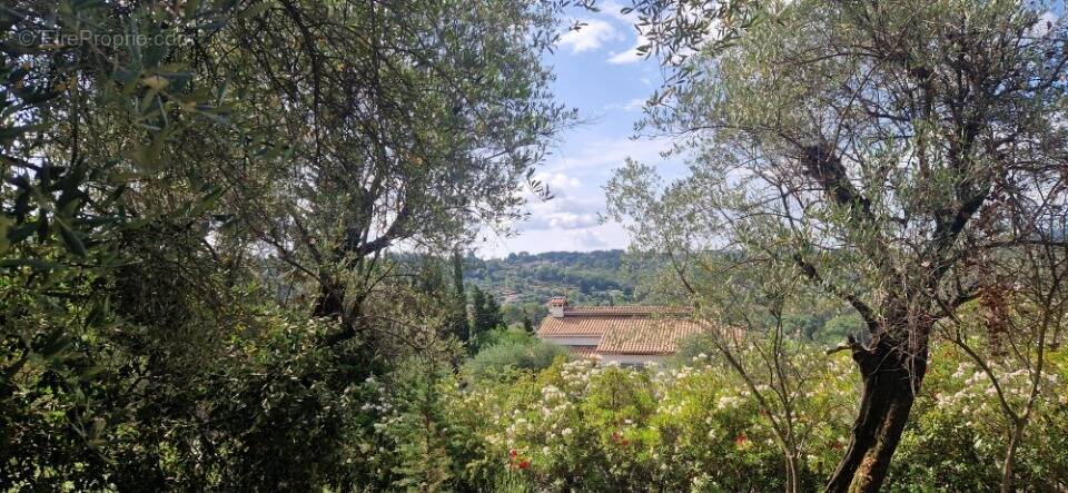 Terrain à CHATEAUNEUF-GRASSE