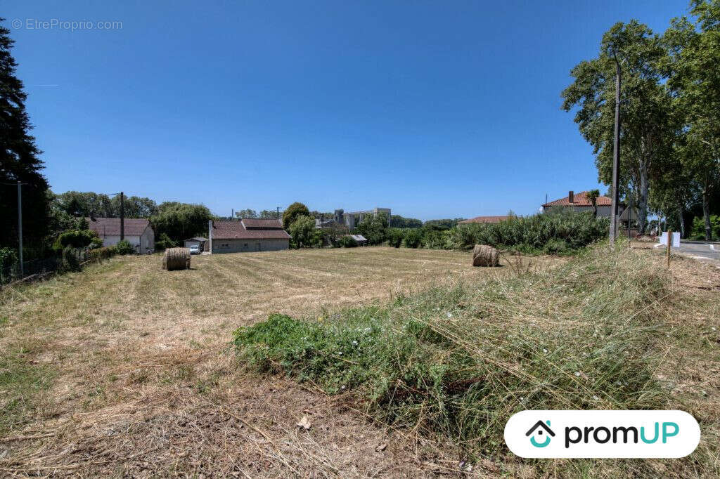 Terrain à MALAUSE