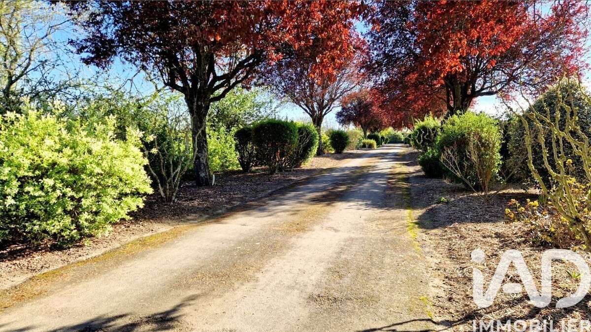Photo 6 - Maison à BONCHAMP-LES-LAVAL