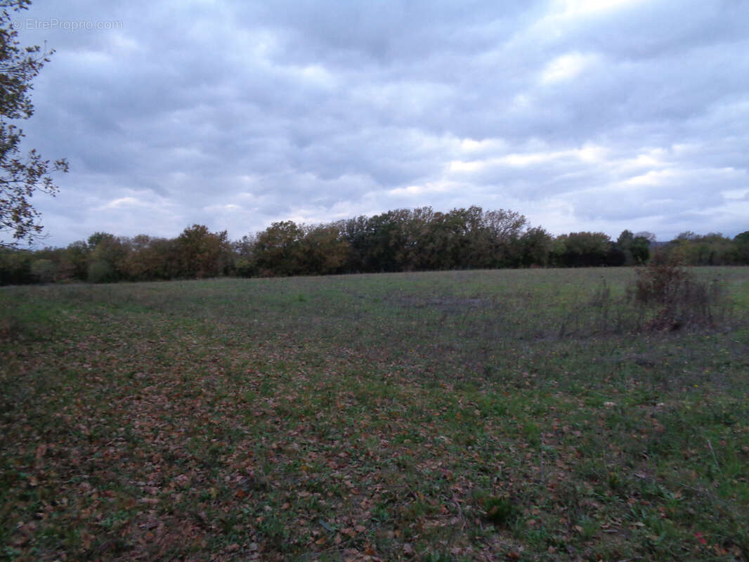 Gard Villevieille Terrain Agricole - photo 4