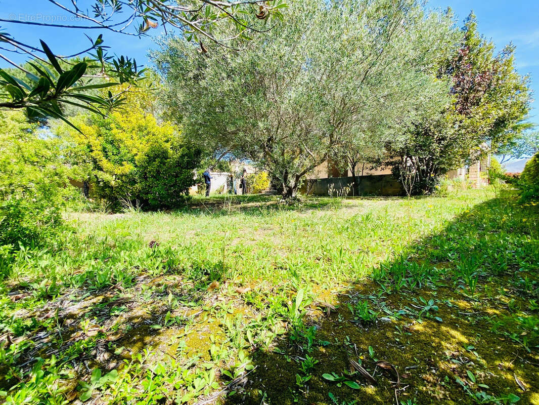 PEROLS CENTRE - Grande Villa T8 de 300m2 sur env 1100m2 de terrain PISCINABLE avec 2 GARAGES de 27m2! - photo 2