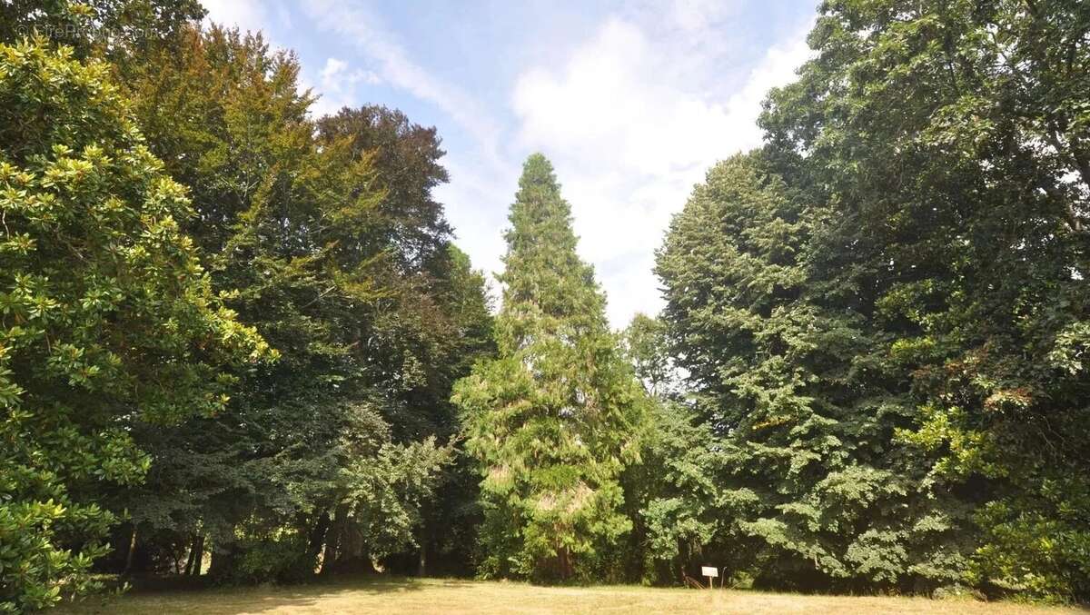 Maison à AUBETERRE-SUR-DRONNE