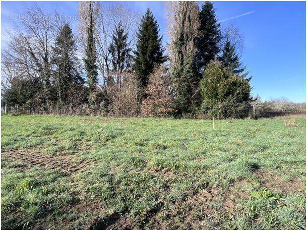 Terrain à AGRIS