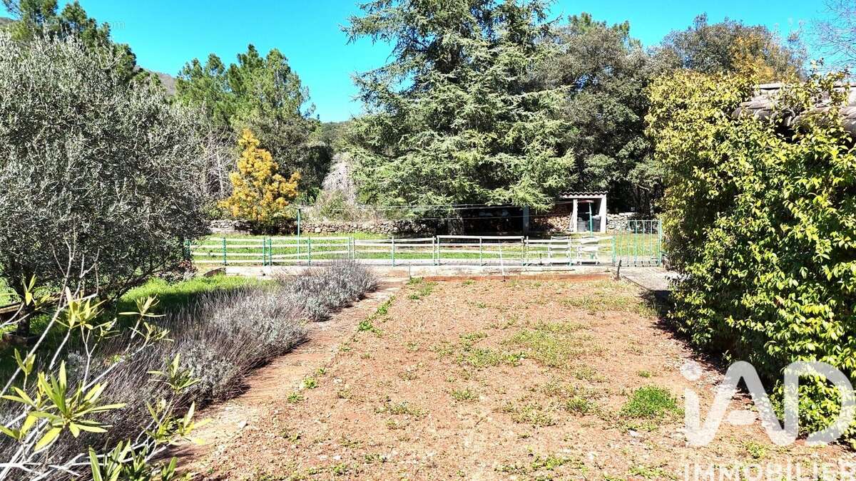 Photo 4 - Maison à ROBIAC-ROCHESSADOULE