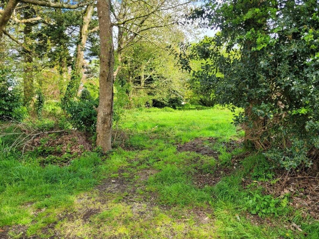 Photo 1 - Terrain à RADENAC