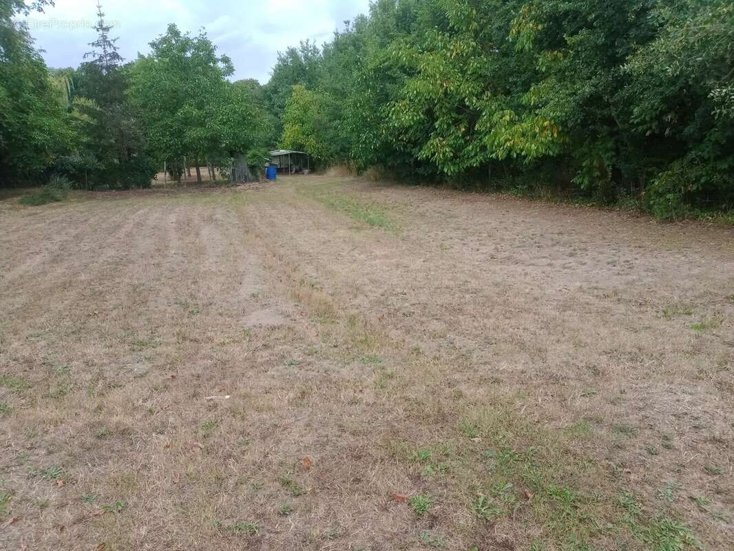 Laon sud ref 3581 mfd - photo 3