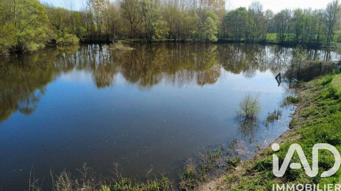 Photo 8 - Terrain à CHINON