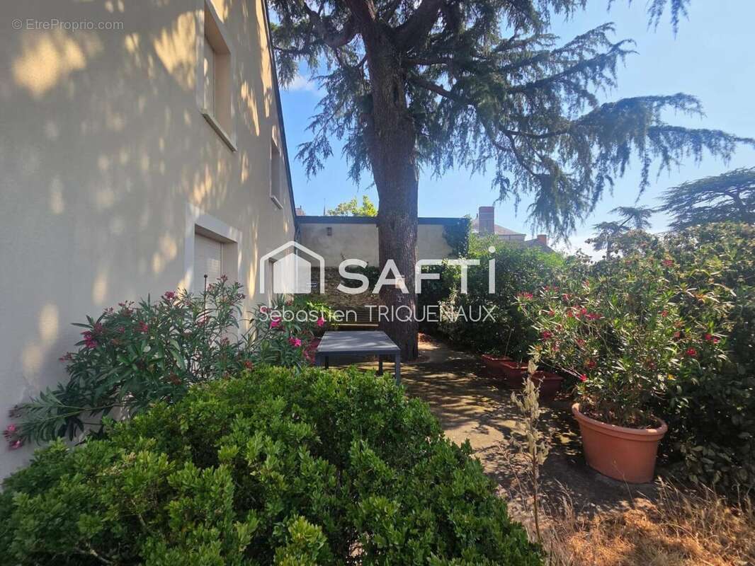 Photo 2 - Maison à SAVENNIERES
