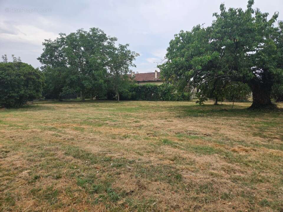 Terrain 650 m² à Lagardelle-Sur-Leze  - photo 2