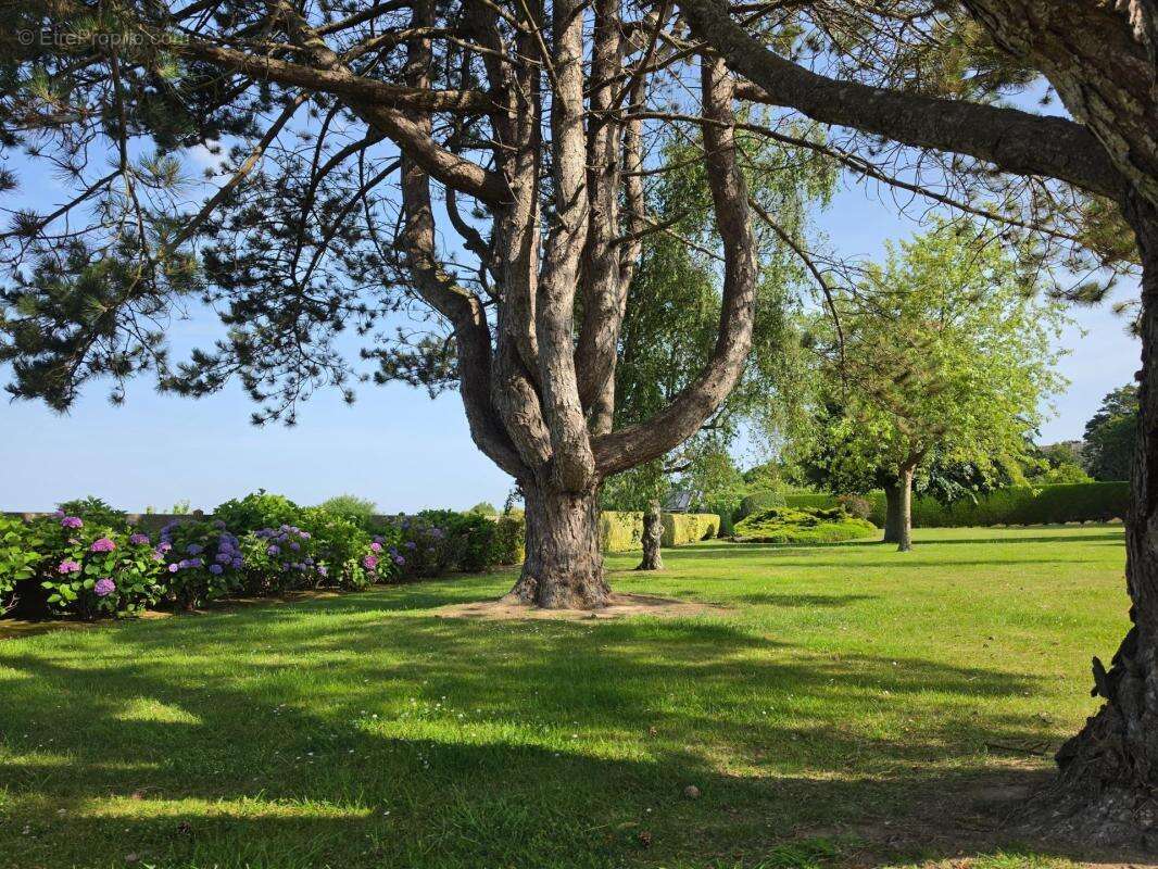 Splendide propriété Néo Bretonne à Port Blanc - photo 5