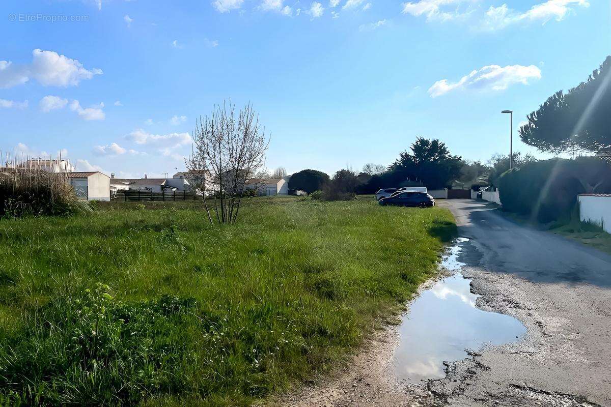 Terrain à SAINT-DENIS-D&#039;OLERON