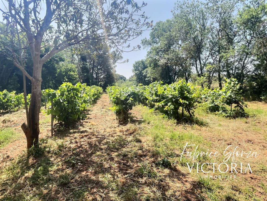 Maison à PUGET-VILLE