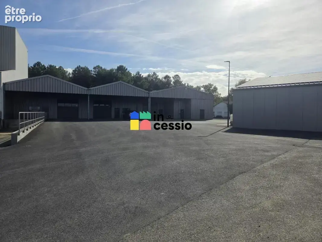 ? À vendre – Cellules d'activité 300 m2 totalement rén - photo 15
