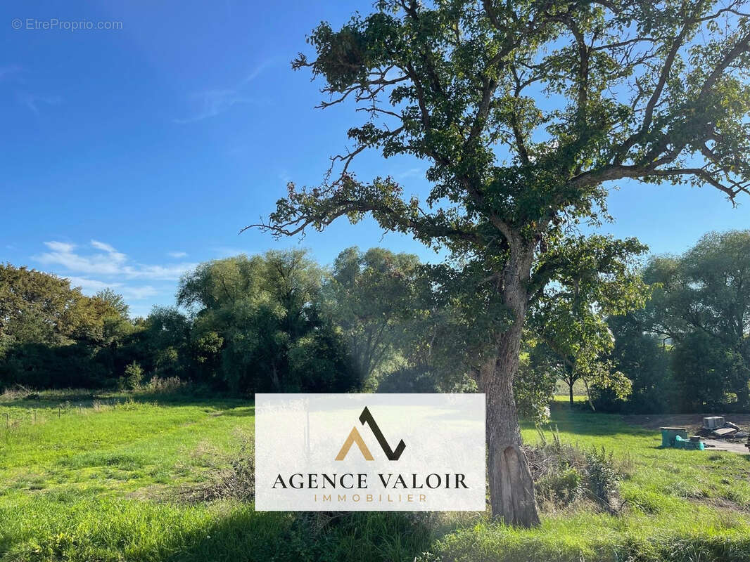 Terrain à SAINT-JEAN-ROHRBACH