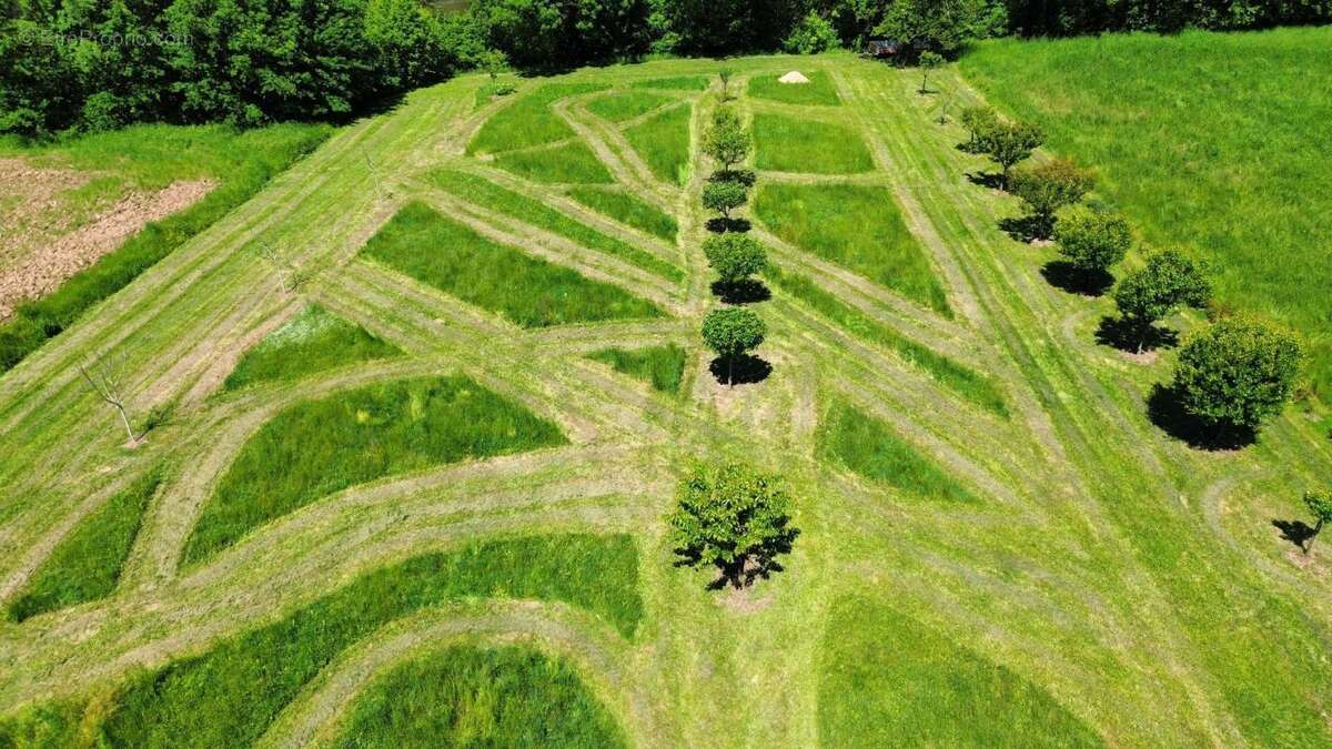 Maison à BALAGUIER-D&#039;OLT