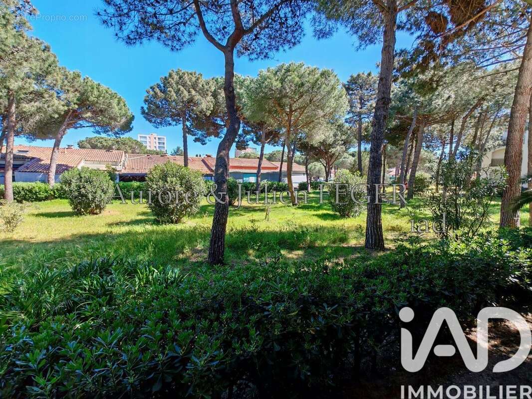 Photo 8 - Appartement à ARGELES-SUR-MER