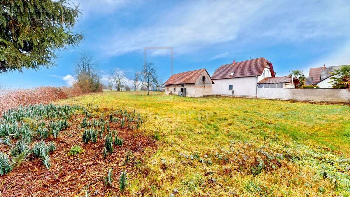 Maison à ROPPENHEIM