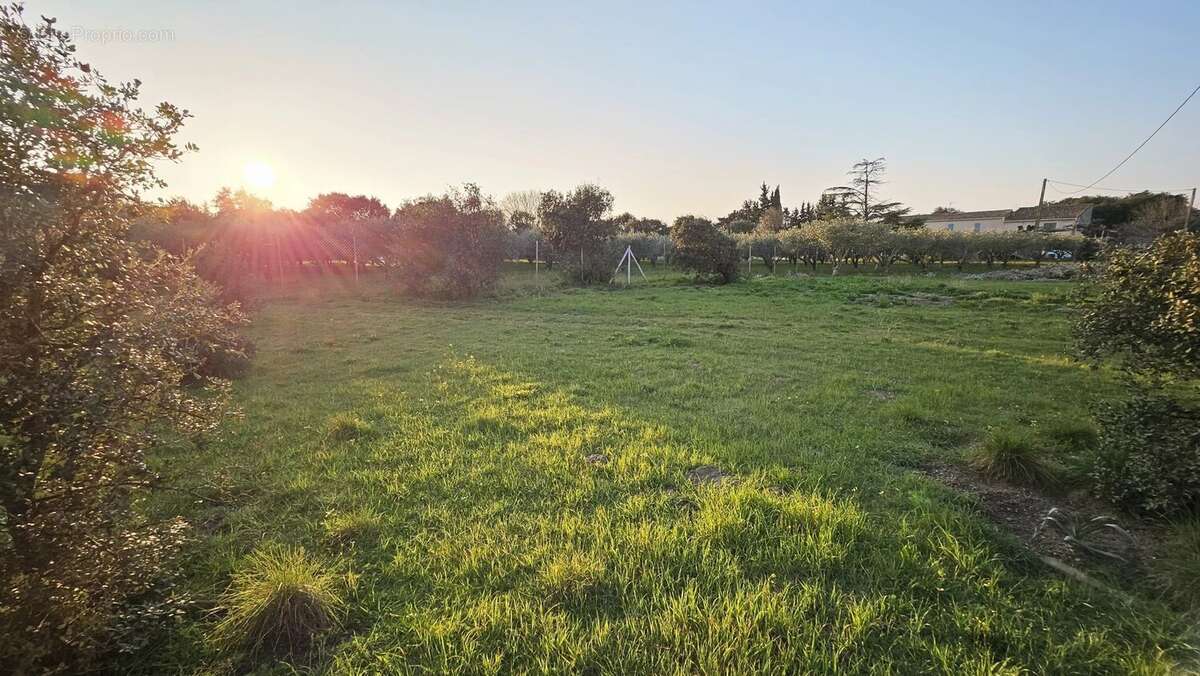 Terrain à SAINT-QUENTIN-LA-POTERIE