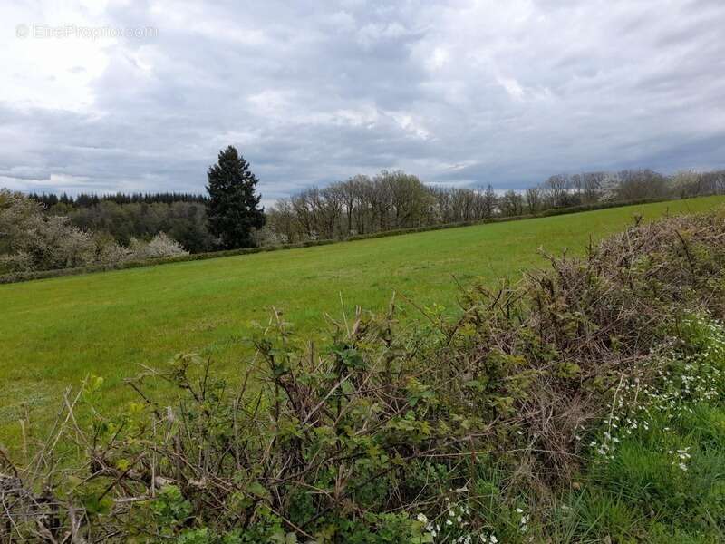 Maison à vendre 4 pièces SAVILLY (21) - DEPENDANCES - TERRAIN 935 m 2 - photo 12