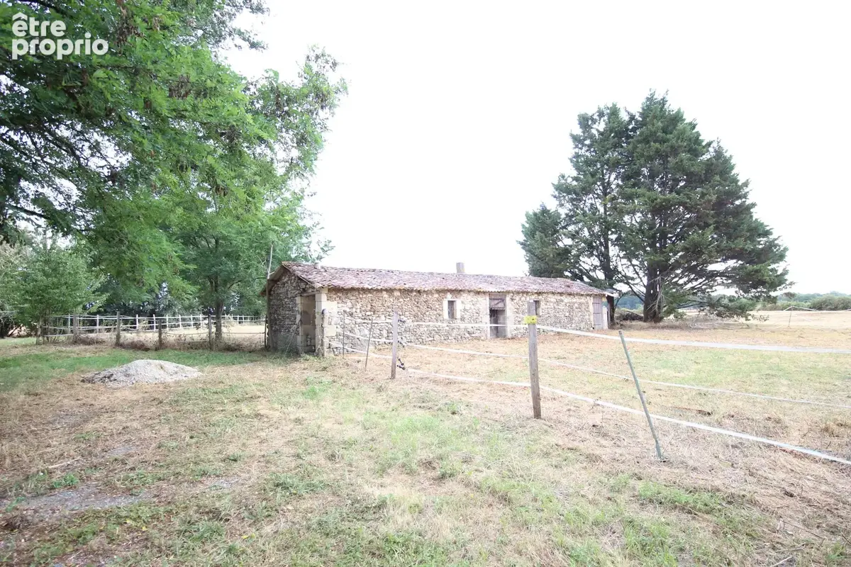 Maison acadienne - 3 chambres + studio independant - dependances et terrain - photo 10