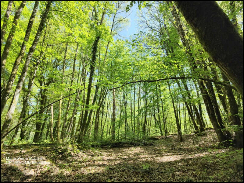 Maison familiale + dépendances à Saint Eloi en Creuse - photo 41