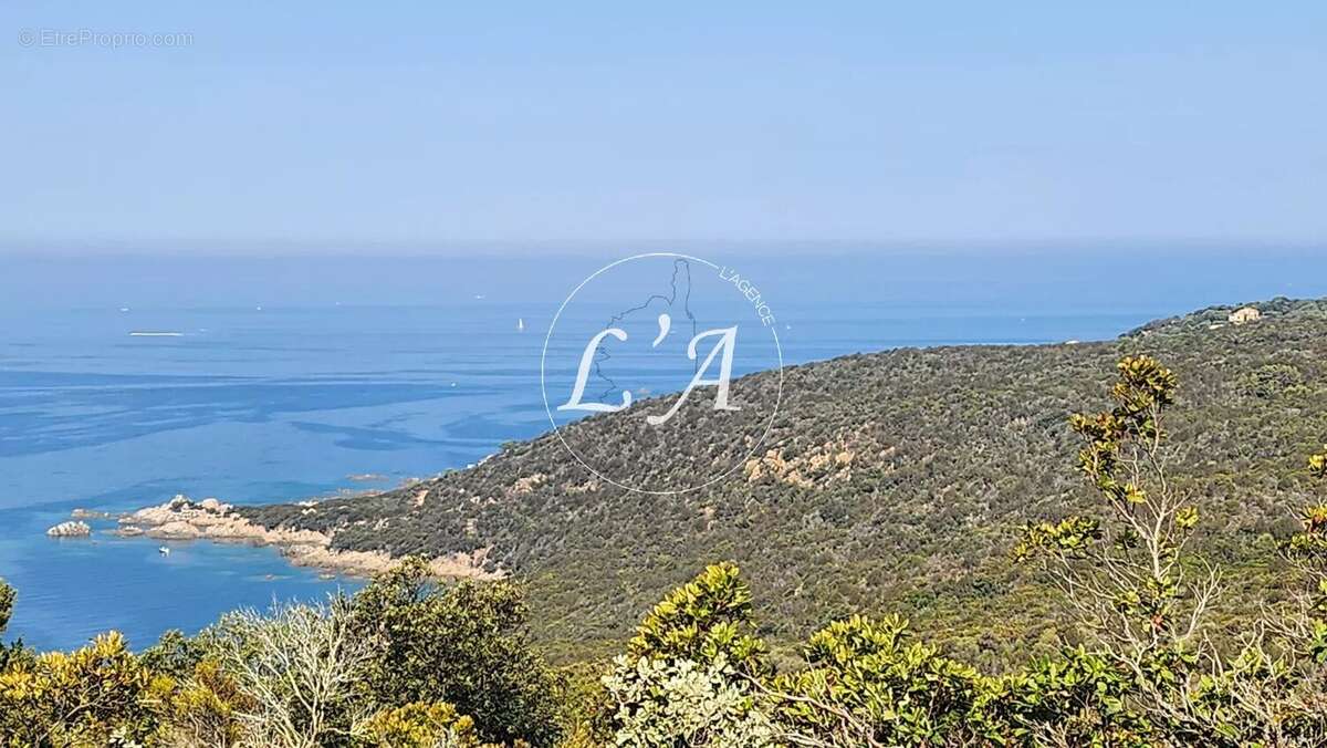 Terrain loisirs 6 679 m² vue mer Ajaccio Castagna Capo di Muro (Se Loger) - photo 5