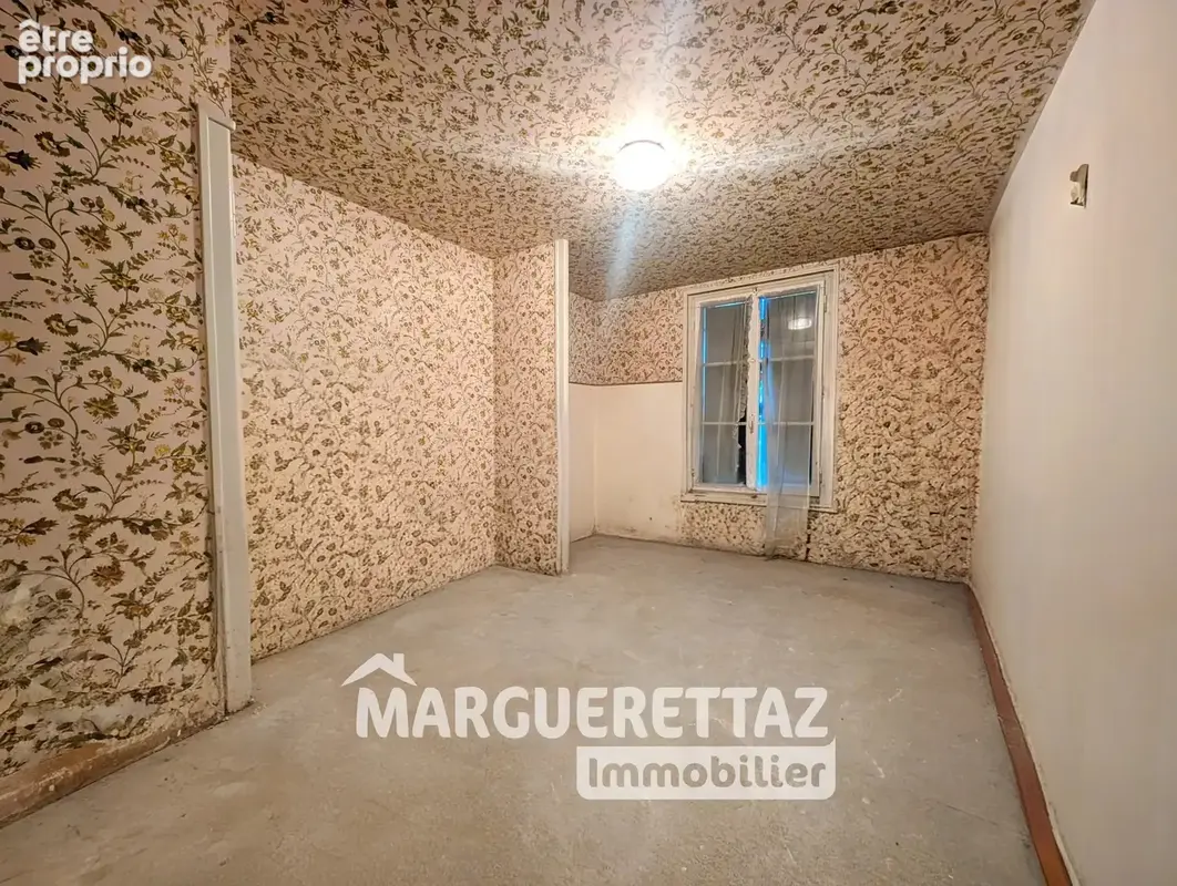 Local commercial + maison SAINT JEOIRE - photo 13