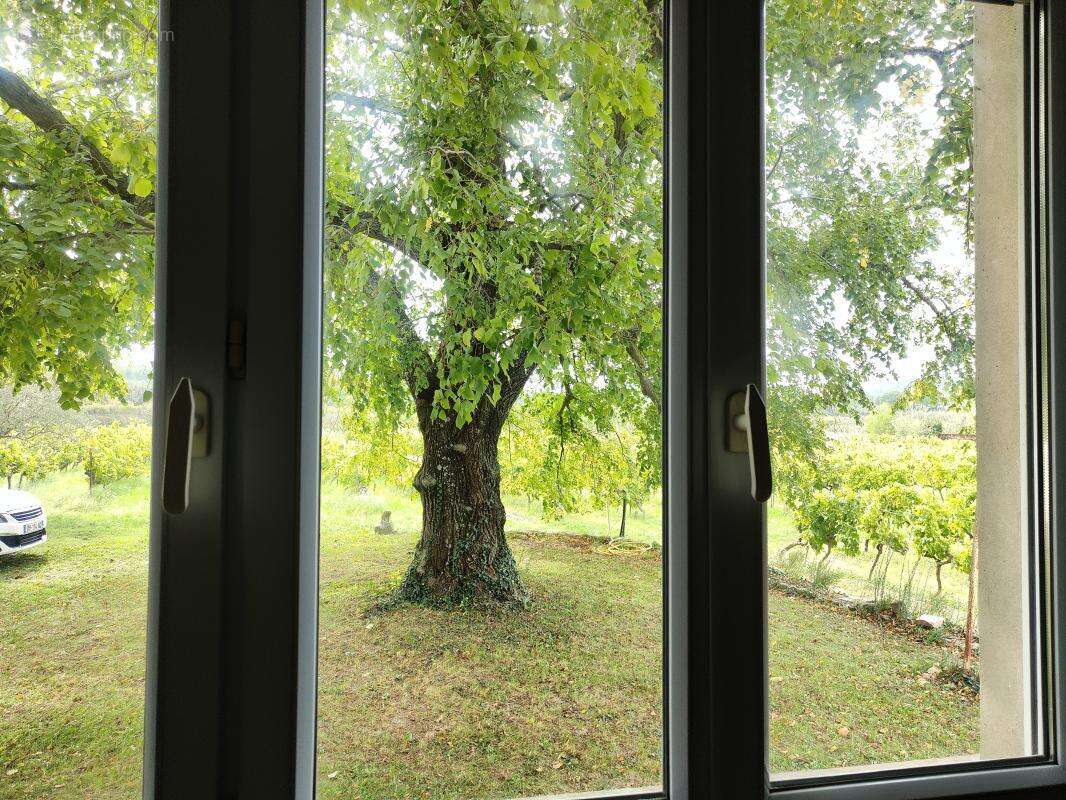 Maison à PERNES-LES-FONTAINES