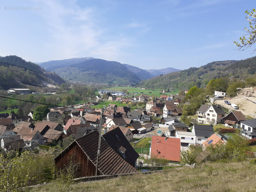 Terrain à MUHLBACH-SUR-MUNSTER