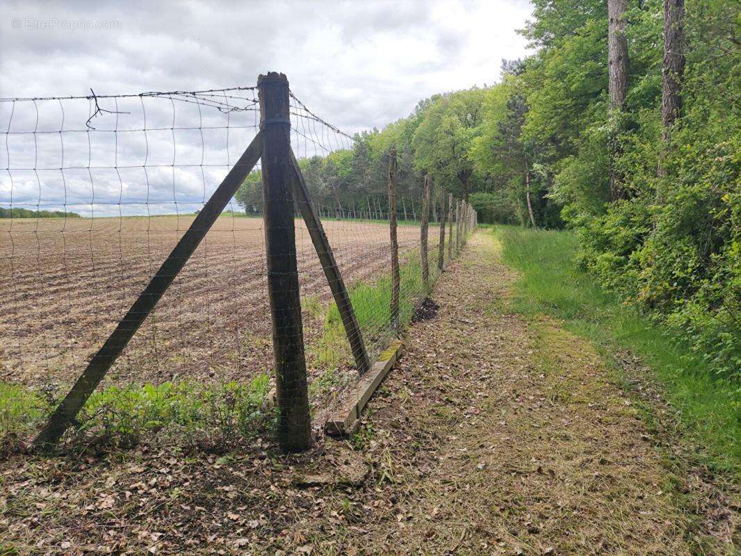 Terrain à MIGNALOUX-BEAUVOIR