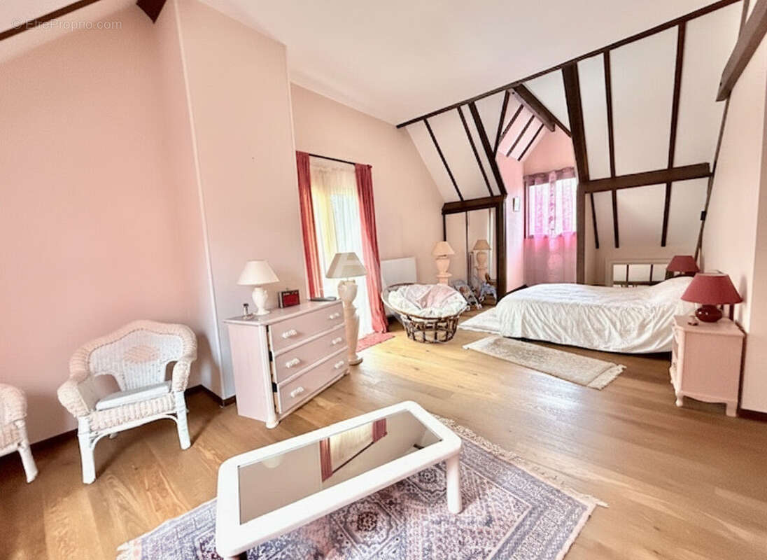 Maison 258 m² à Villeneuve-Saint-Denis  - photo 13