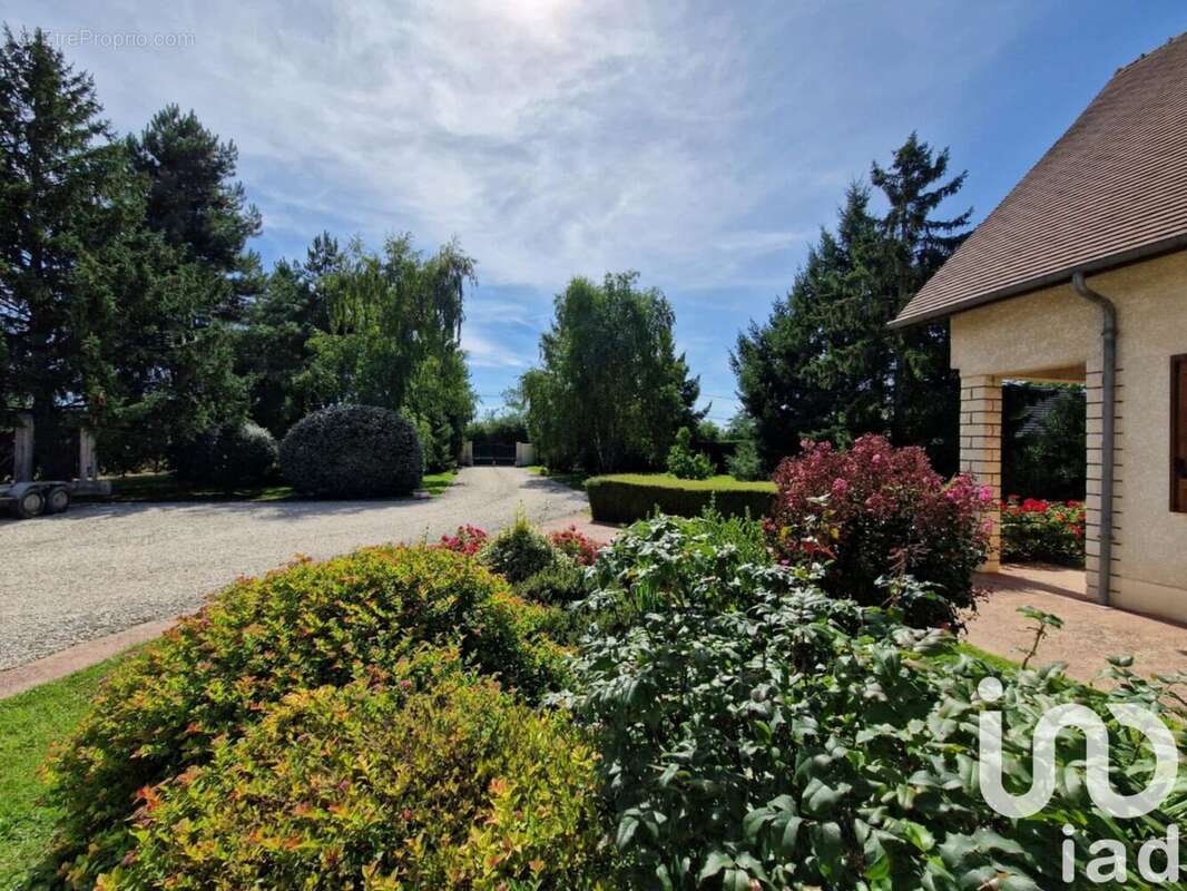 Photo 7 - Maison à GIEN