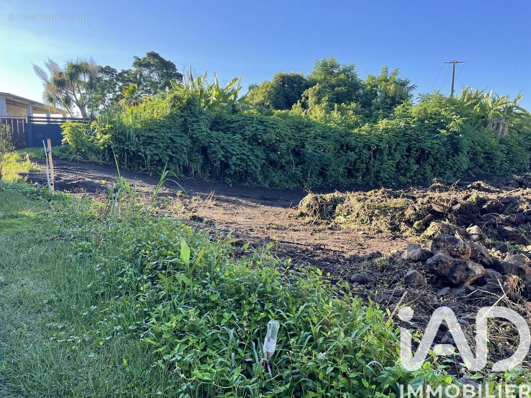 Photo 1 - Terrain à LE TAMPON