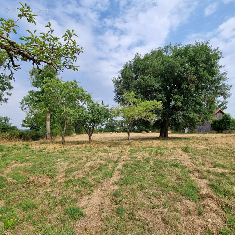 Maison à SAINTE-SEVERE-SUR-INDRE
