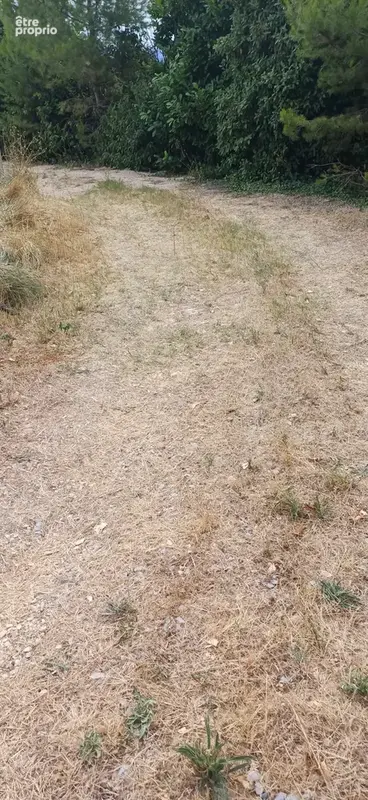 Beau Terrain surface rare - photo 5