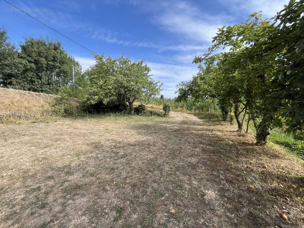Maison 78 m² à Saumur  - photo 2