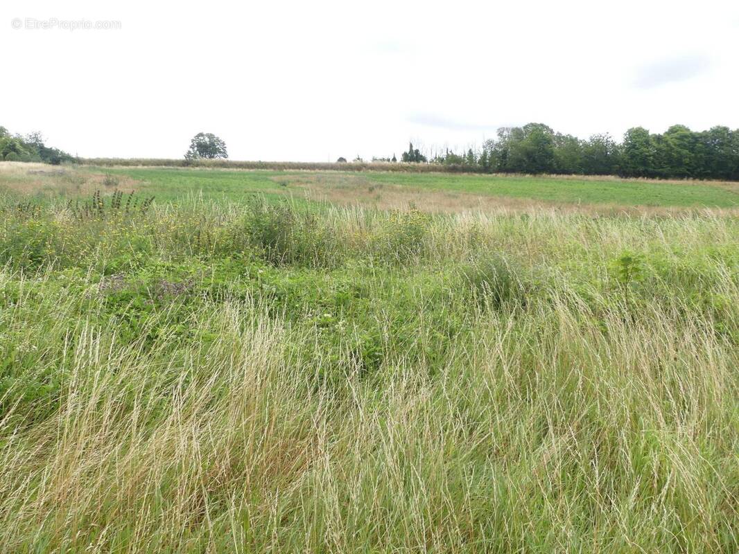 Photo 1 - Terrain à PLAINVAL